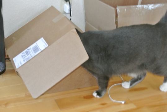 Cool whats in here 1