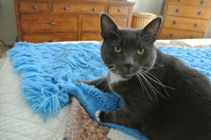 savvy talking to readers 1