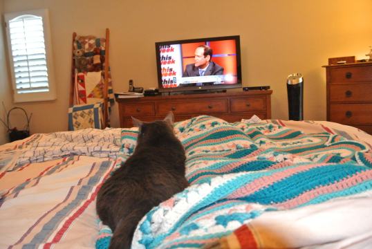 easy sunday morning 1