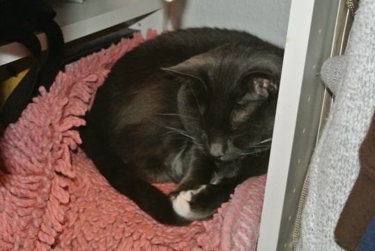 tired from interviews