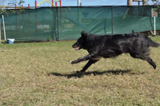 Jet from larrys camera