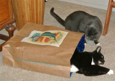 KozSavyusingthealternatevotex copy