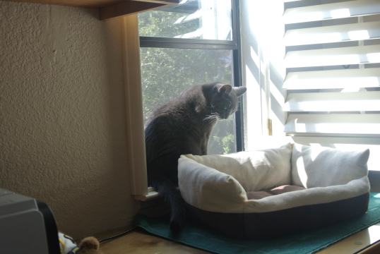 office visit with Mom 2