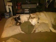 Dez and Tyler snuggles