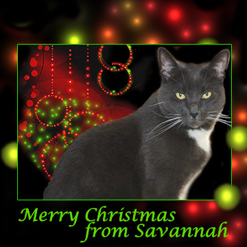 Christmas Ecard from Savannah