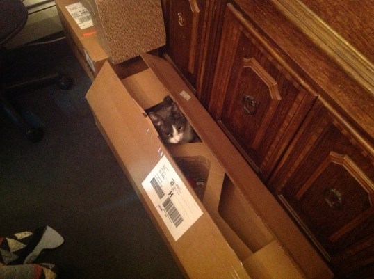 mh box hitch inspection