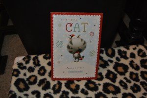 moggies card 1