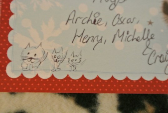 moggies card 2
