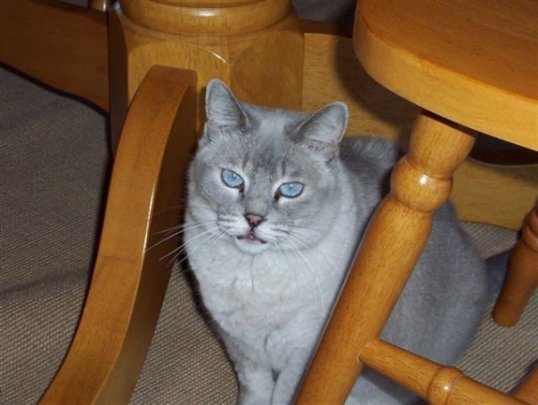 Nylablue '06 b4 she came to me