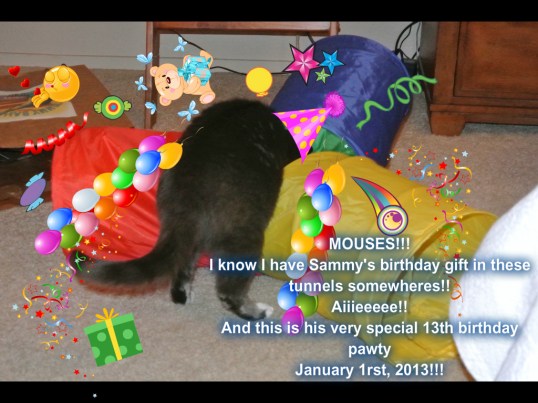 Sammys 13th Birthday