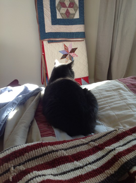 Search for Sun Puddle 1