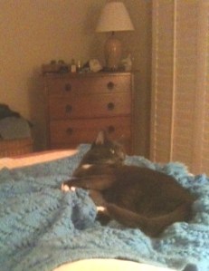 Mice in Our Bed_Oh My1