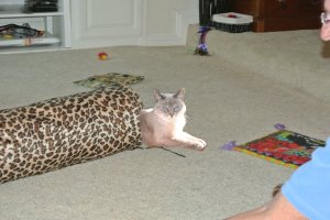 pizap.com13571718192261