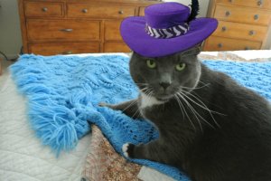 pizap.com13577726027991