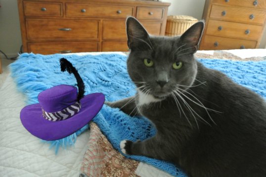 pizap.com13577727850681