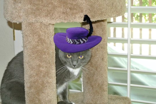 pizap.com13577729484681