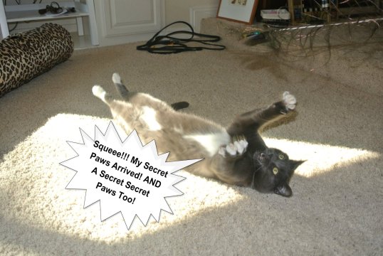 pizap.com13578498851993