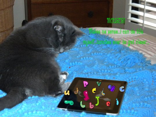 pizap.com13579540599831_ipad search