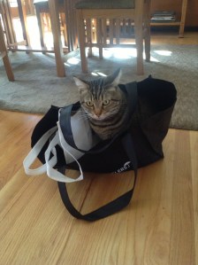 Private Smokey Packs for Kaui