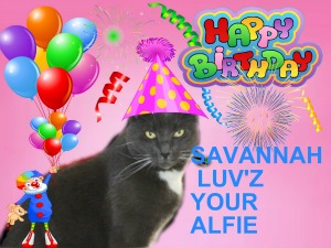 savvy from Alfie Mollie