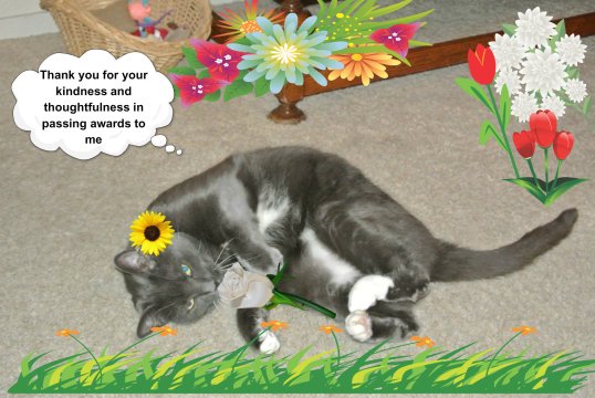 Savvy Says Thank You