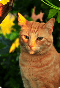 specialist Carl Bob aka crybaby