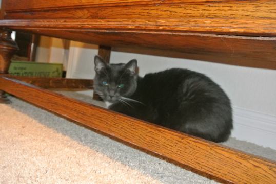 thankful for my new safe spot 2