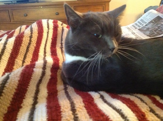 Purrlease tell me Mom is NOT getting outta bed??!!