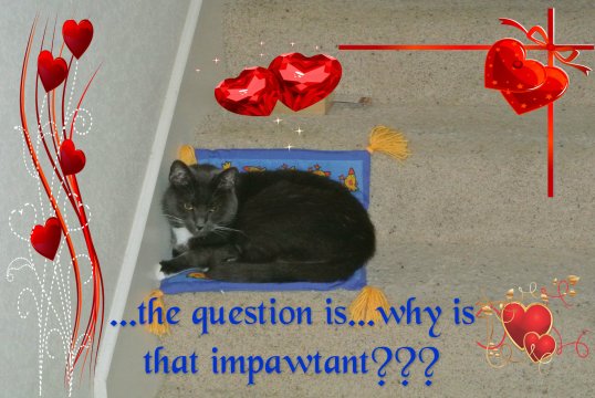 Savvy I love you award