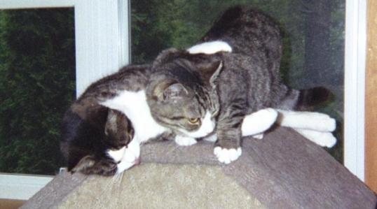 Tobias Snuggling with Nissy