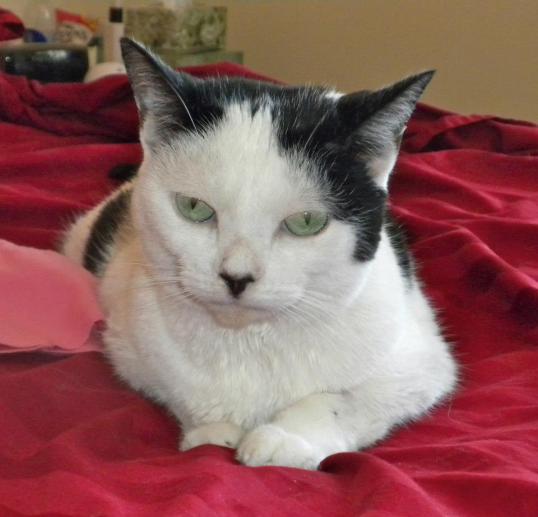 Emily with the pretty eyes