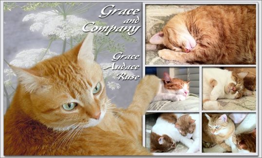 Grace and Company 2013 Alternate