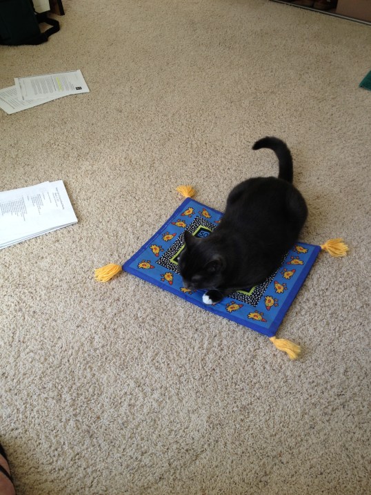 Has someone else been on my mat??