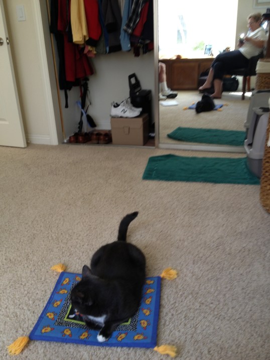 What did you say Dad??