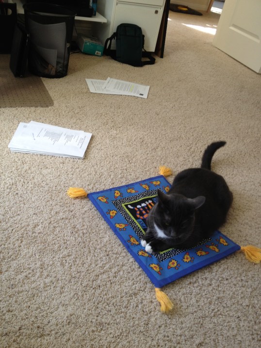 Ok Mom..you have a good point