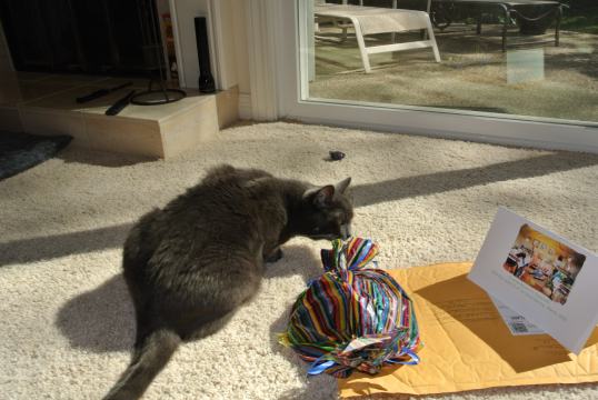 Oh...From Sammy!!! I can smell him...