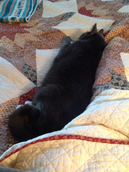 Keeping Mom's Leg Warm