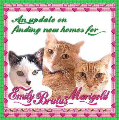 Update, Emily Brutus Marigold
