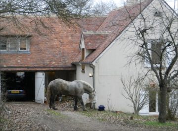 Violette comes to number ones house