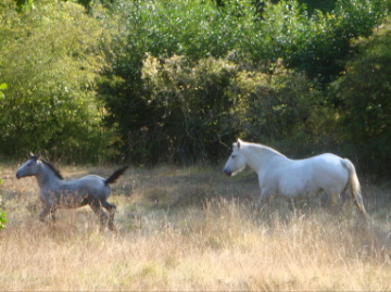 violette playing with her Mom