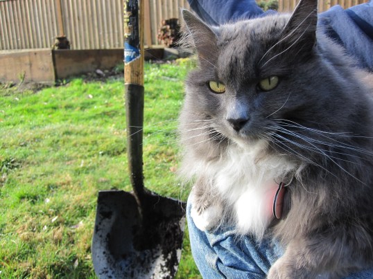 Dig right where the shovel is