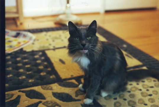 Jonesie Early Days 1