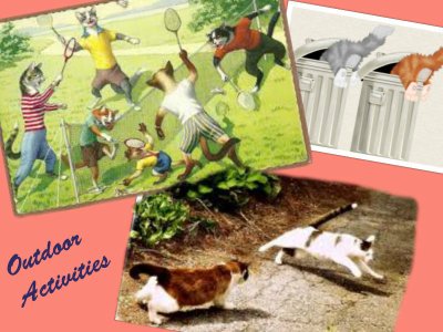 Lots of Outside Stuff...Safe!