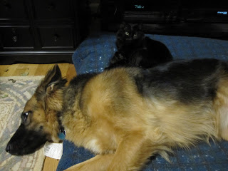 Grete sleeping with Cory