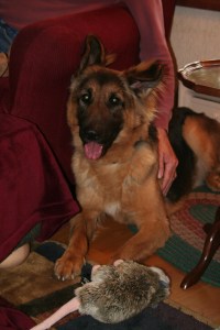 May 21, 2008 Grete 009