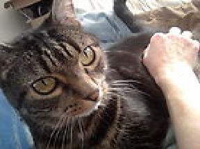 Mooch & Blonde Lady Mom