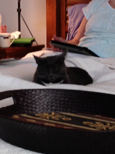 who let her in my bed