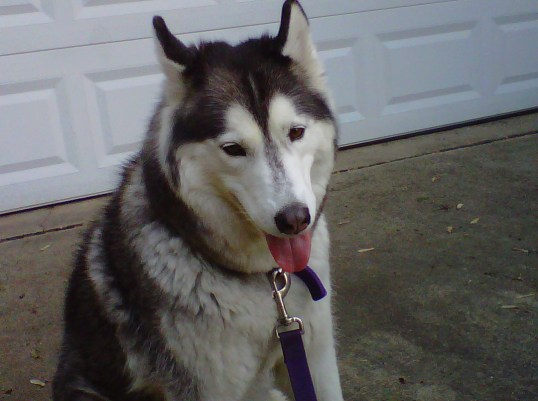 IMG00133-20100515-1911