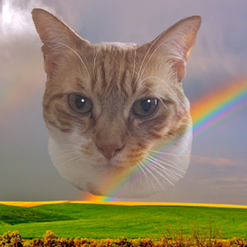 Merigold-New-500x500notext copy