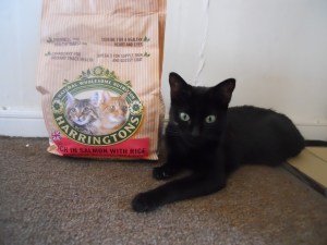 I love my Harrington's cat food